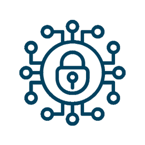 Network Security Icon